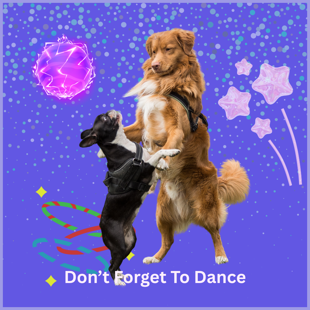 Dog and handler doing a movement-based training exercise