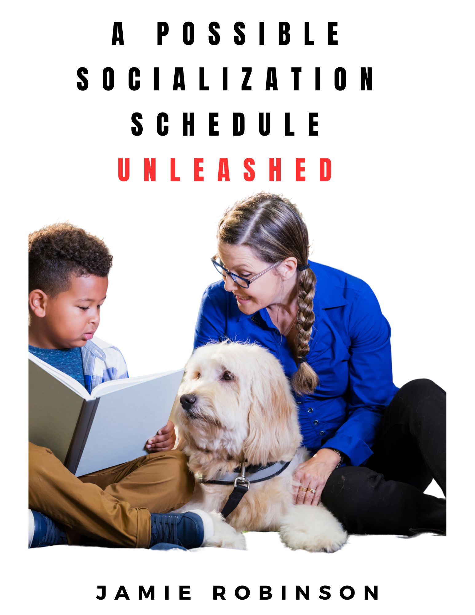 Socialization for dogs of every age