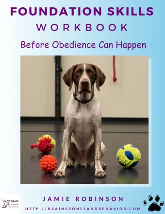 Foundation Skills Workbook