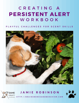 Creating A Persistent Alert Workbook