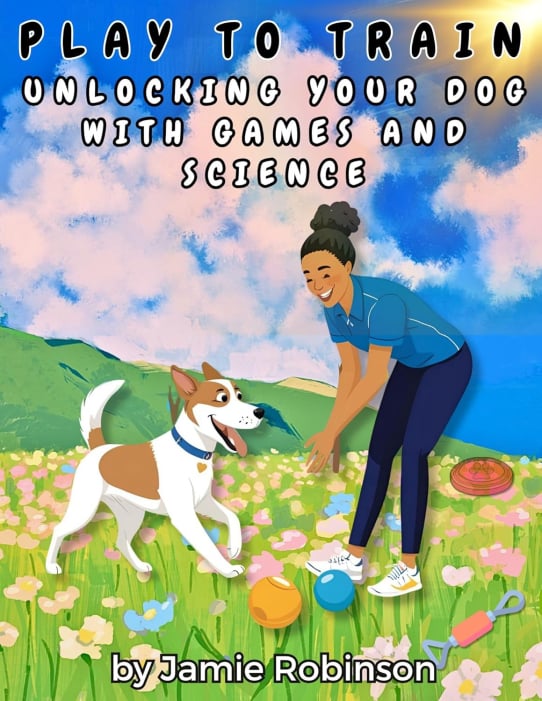 Play To Train